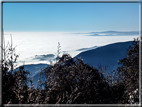 foto Pedemontana Veneta nella nebbia